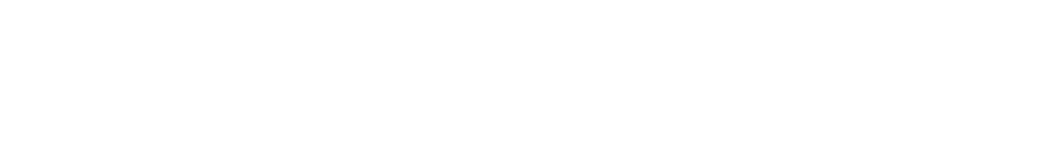 Партнёр 2