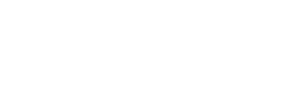 Партнёр 5